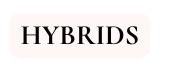 HYBRIDS