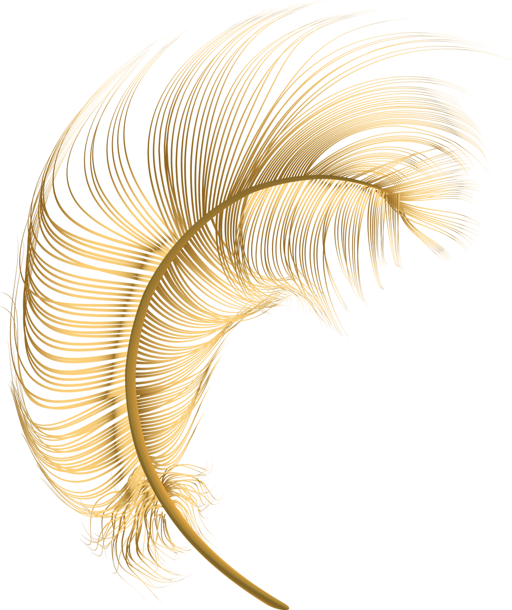Gold feather